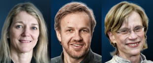 Vinnerne av Kavliprisen i nevrovitenskap: Cornelia I Bargmann, Winfried Denk og Ann M. Graybiel