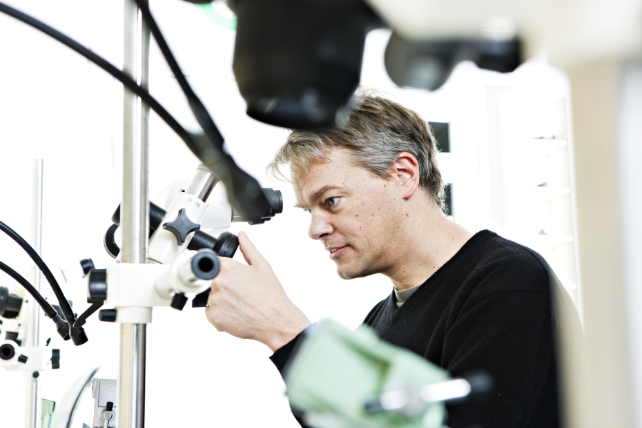 Mann forsker ved å se i mikroskop